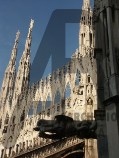 Milano Duomo Guglie e Doccione